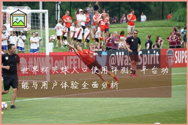 世界杯买球入口使用评测：平台功能与用户体验全面分析