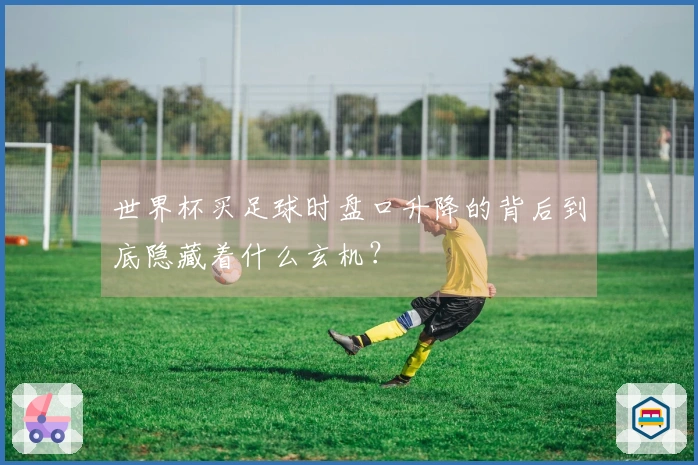 世界杯买足球时盘口升降的背后到底隐藏着什么玄机？