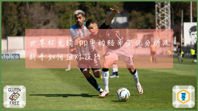 世界杯竞猜app中的赔率变化分析及新手如何应对技巧