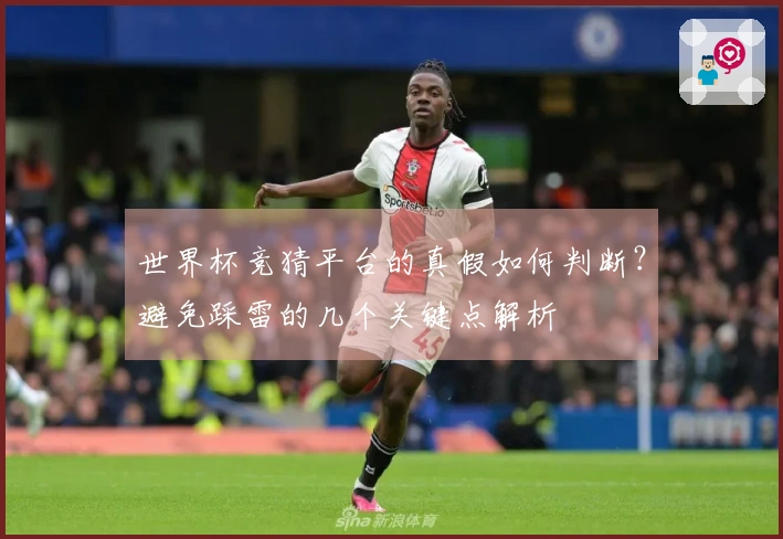 世界杯竞猜平台的真假如何判断？避免踩雷的几个关键点解析