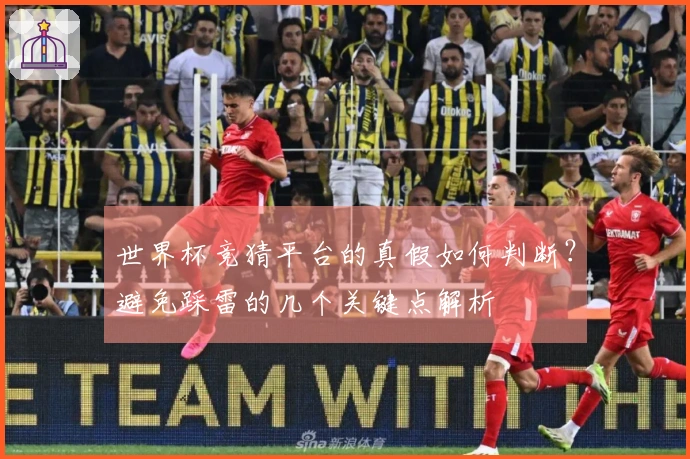 世界杯竞猜平台的真假如何判断？避免踩雷的几个关键点解析