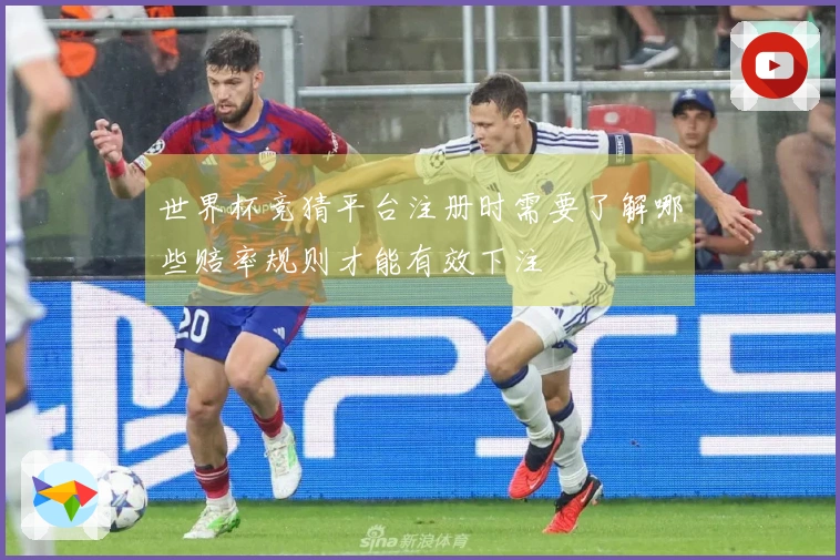世界杯竞猜平台注册时需要了解哪些赔率规则才能有效下注
