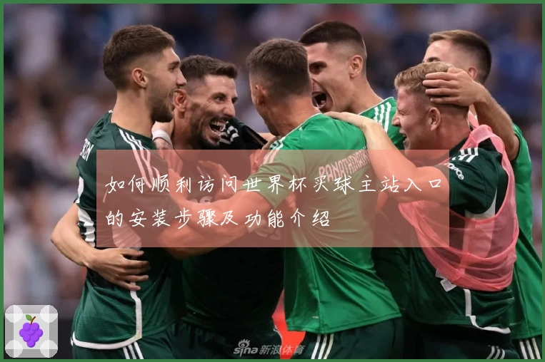 如何顺利访问世界杯买球主站入口的安装步骤及功能介绍
