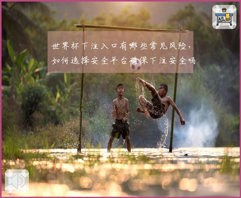 世界杯下注入口有哪些常见风险，如何选择安全平台确保下注安全吗