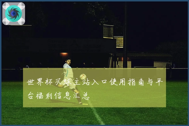 世界杯买球主站入口使用指南与平台福利信息汇总