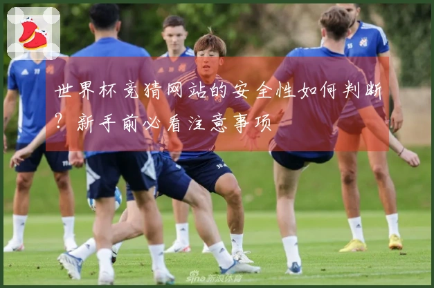 世界杯竞猜网站的安全性如何判断？新手前必看注意事项