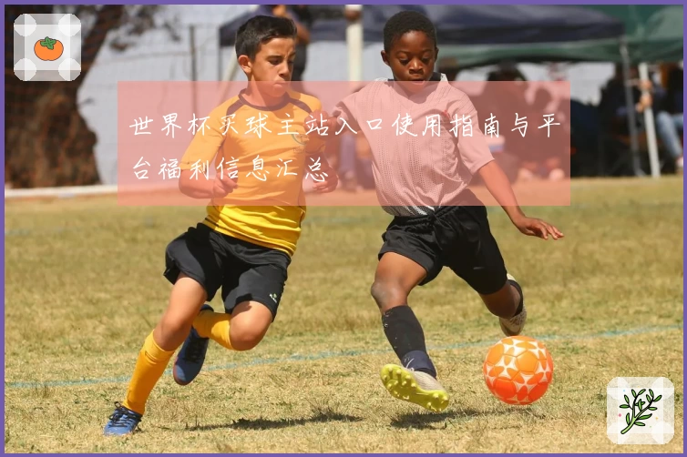 世界杯买球主站入口使用指南与平台福利信息汇总