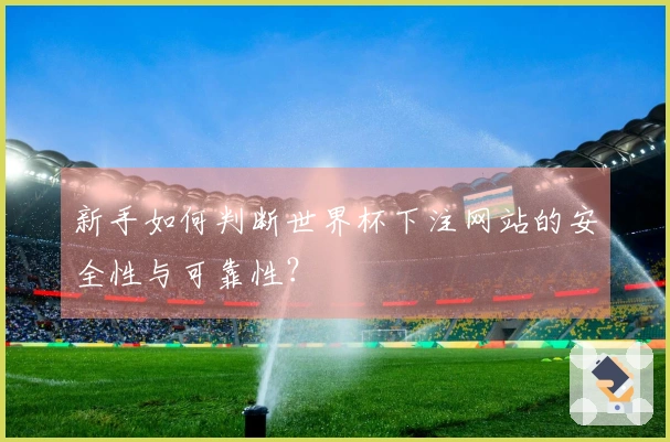 新手如何判断世界杯下注网站的安全性与可靠性？