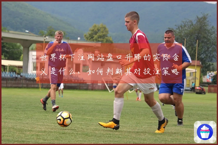 世界杯下注网站盘口升降的实际含义是什么，如何判断其对投注策略的影响？