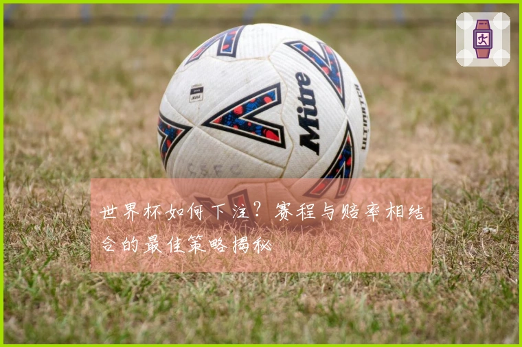 世界杯如何下注?赛程与赔率相结合的最佳策略揭秘