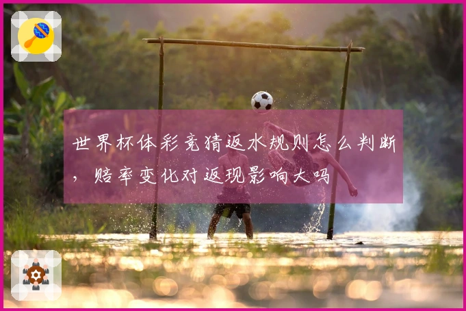 世界杯体彩竞猜返水规则怎么判断，赔率变化对返现影响大吗