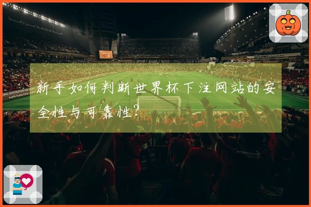 新手如何判断世界杯下注网站的安全性与可靠性？