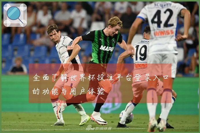 全面了解世界杯投注平台登录入口的功能与用户体验