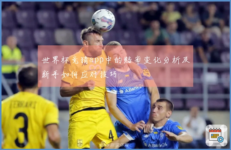 世界杯竞猜app中的赔率变化分析及新手如何应对技巧