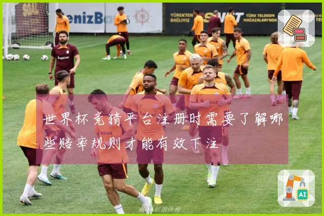 世界杯竞猜平台注册时需要了解哪些赔率规则才能有效下注