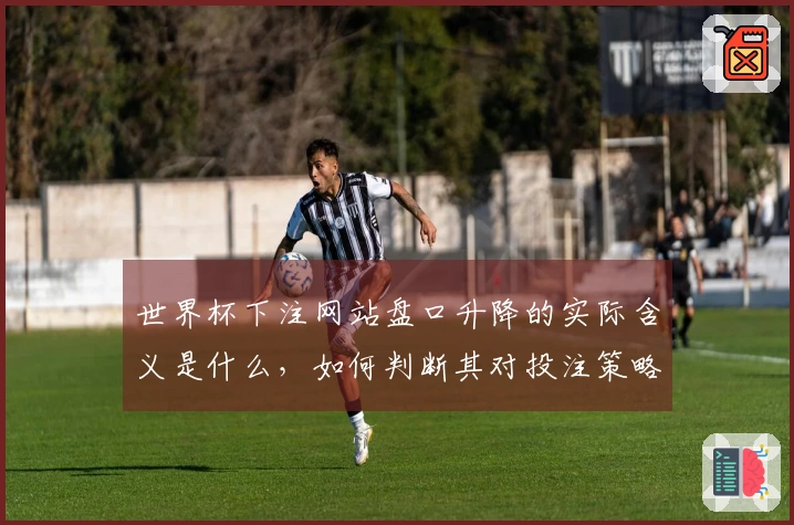 世界杯下注网站盘口升降的实际含义是什么，如何判断其对投注策略的影响？